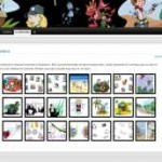 annonce1 annonce1